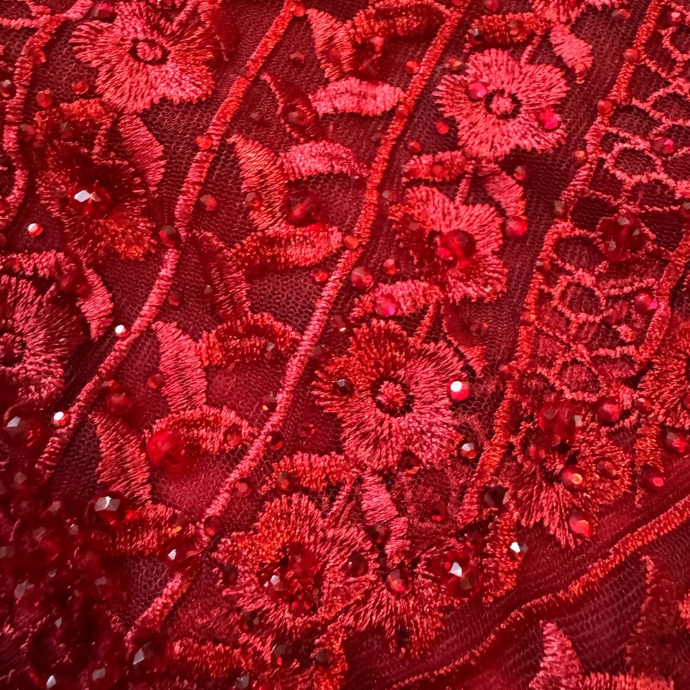 NWT Mac Duggal Sz 20 Red Lace Long Sleeve V-Neck Evening Gown 20271 - Picture 10 of 11